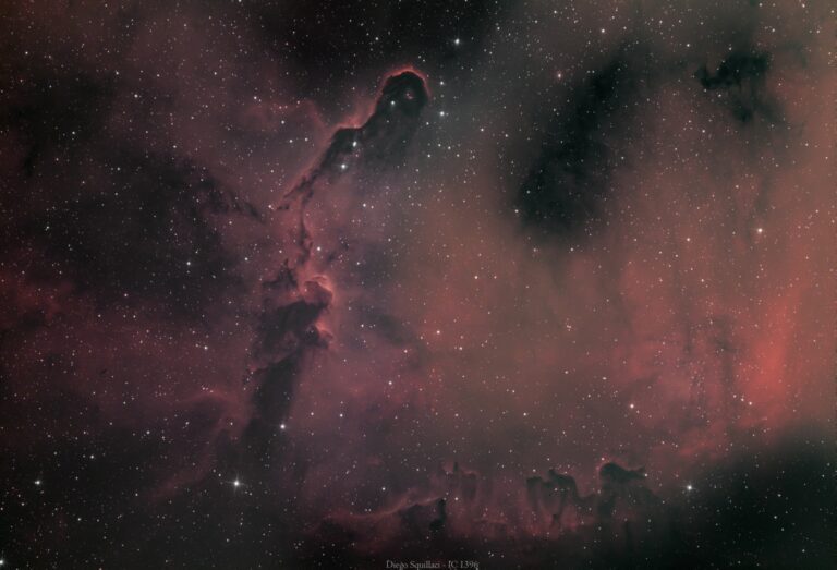 nebulosa Proboscide d'Elefante ( IC 1396) Deep Sky